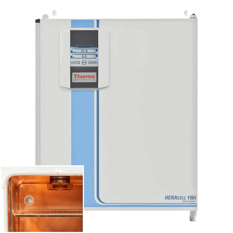 Thermo Scientific Heracell 150i Copper Chamber CO2 Incubators — ThermoBid