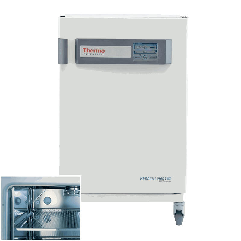 51033549 Thermo Heracell VIOS Incubator 160i 5.8-cu ft | 165L