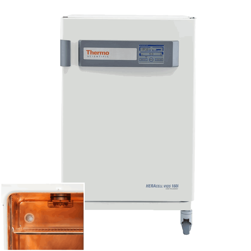 INSULATOR LITHIUM インシュレーター $_12.JPG?set_id=880000500F