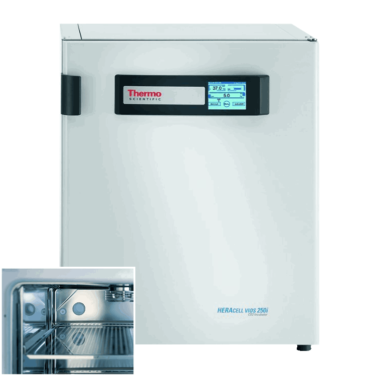51030992 Thermo Heracell VIOS Incubator 250i 9cu ft 255L